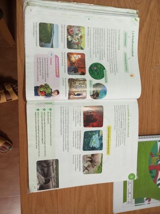 C. Naturales 4prm CM cast