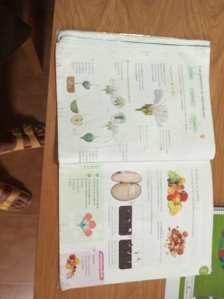 C. Naturales 4prm CM cast