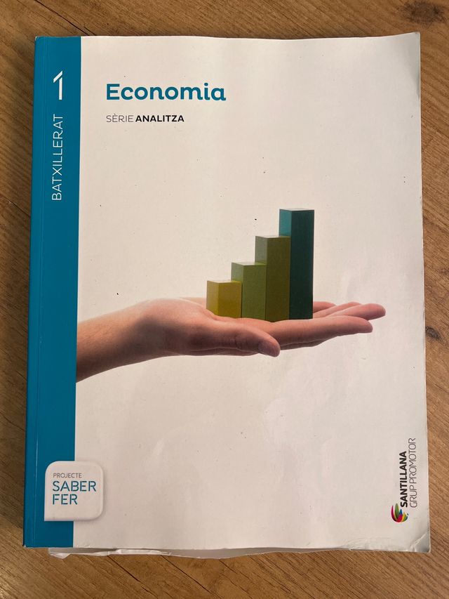 ECONOMIA SÈRIE ANALITZA 1 BTX SABER FER