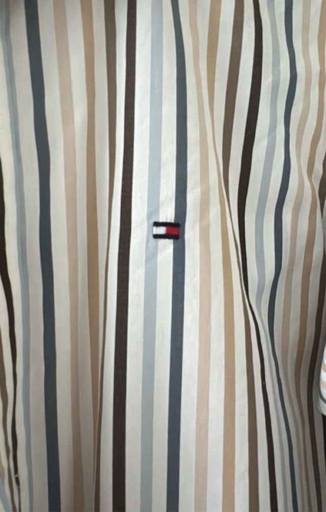 Camisa Tommy Hilfiger multicolor