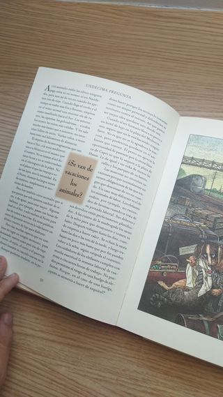 Libro Tienen los Animales que Lavarse los Dientes