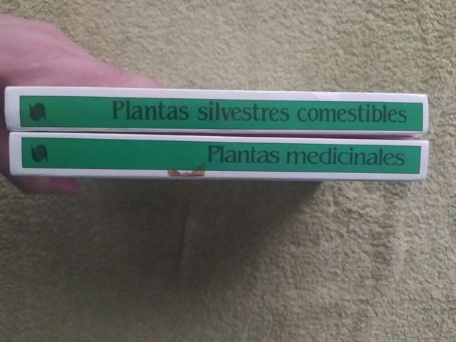 Plantas Silvestres Comestibles y medicinales