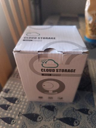 Cámara vigilancia Cloud Storage
