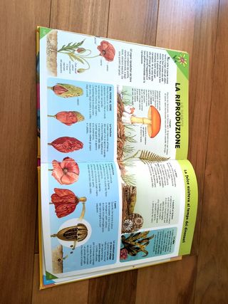 Enciclopedia Dei Bambini 7-9 Anni