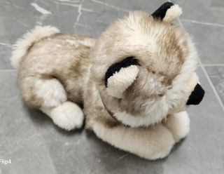 Peluche cucciolo husky