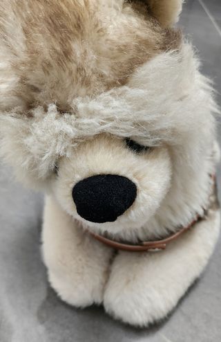 Peluche cucciolo husky