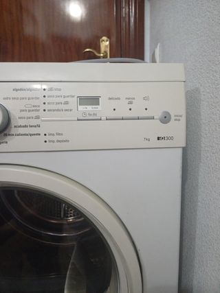 Secadora Siemens WT46W300