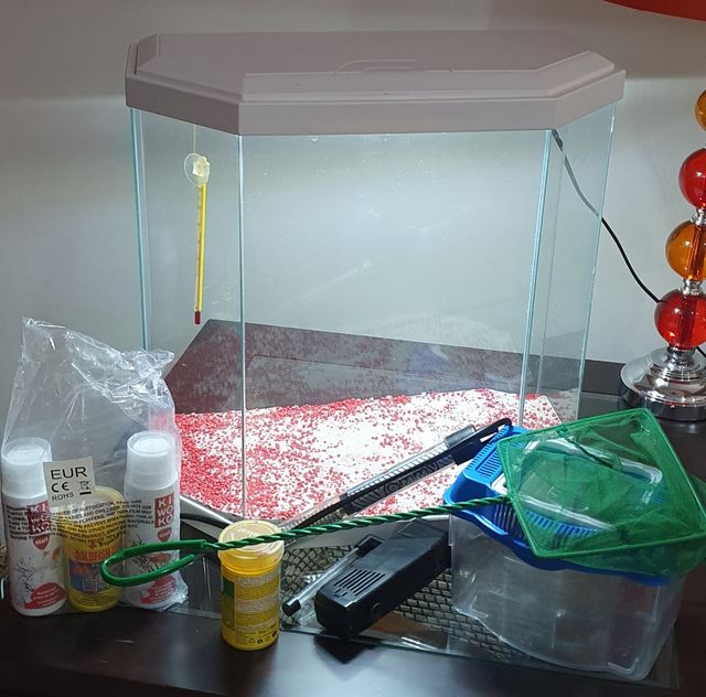 Pecera mas accesorios