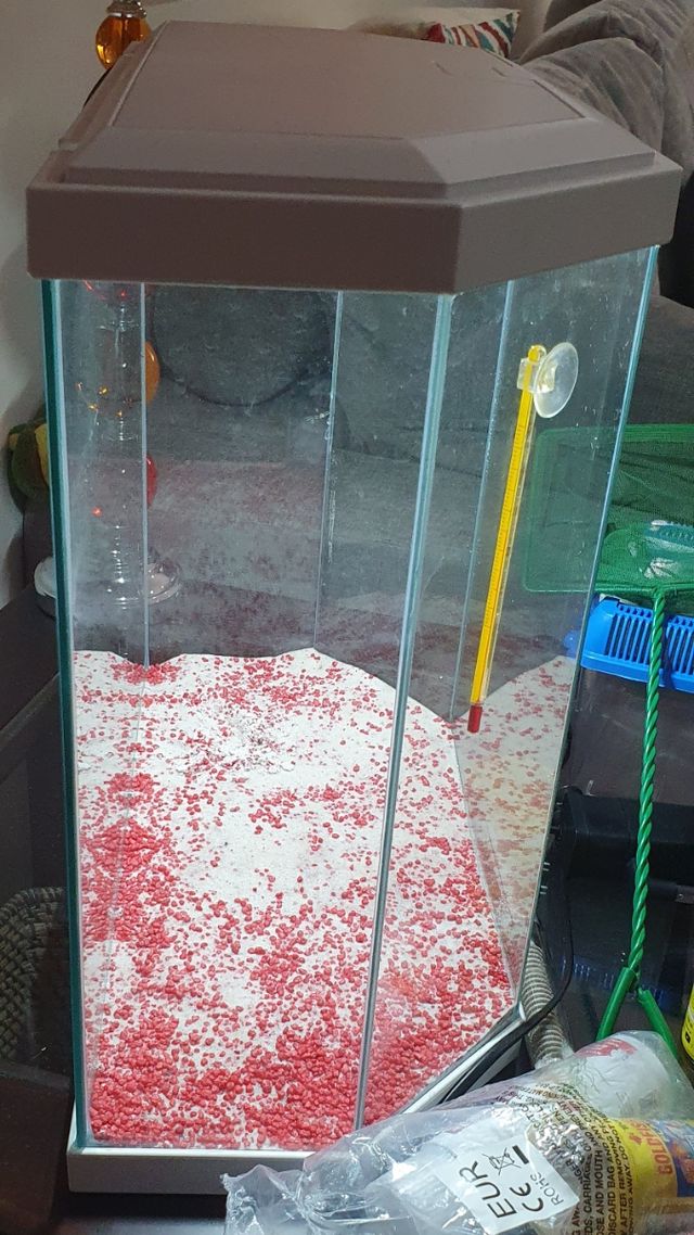 Pecera mas accesorios