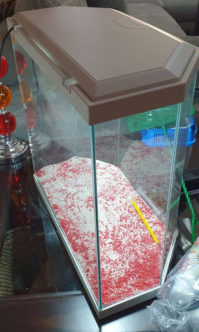 Pecera mas accesorios