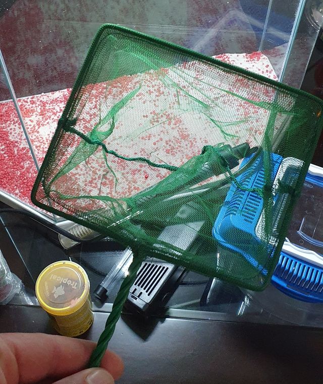 Pecera mas accesorios