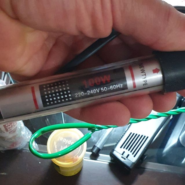 Pecera mas accesorios