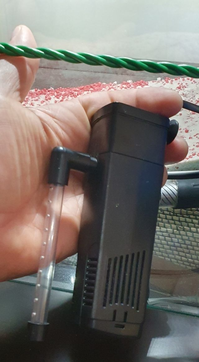 Pecera mas accesorios