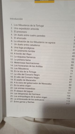 El corsario negro