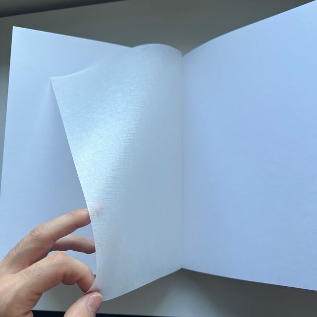 Album neonato vintage celeste