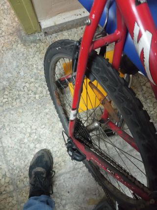 Bicicleta Specialized Rockhopper. Talla m