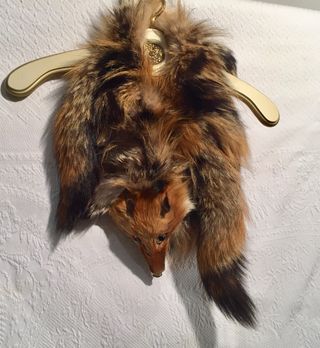 vestidos, tops, abrigos, faldas, blusas, zapatos,