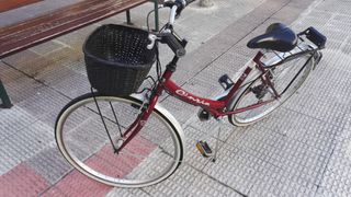 Bicicleta Cinzia paseo