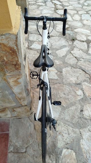 Bicicleta SPECIALIZED carbono