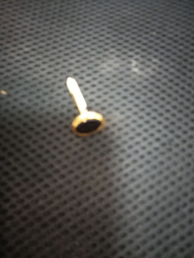 Gemelos y Pinza Klein & Schütz