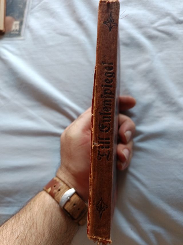 Libro de 1916 Hazañas de Till Eulenspiegel