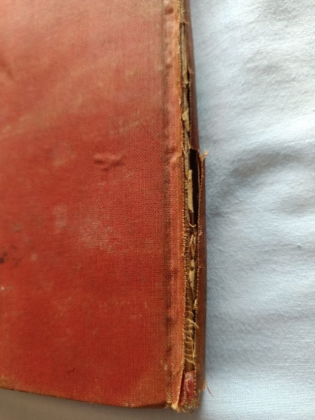 Libro de 1916 Hazañas de Till Eulenspiegel