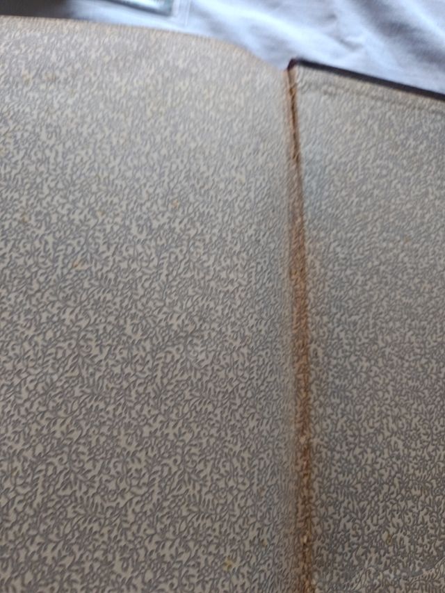 1913 LA VIA LAYETANA Substituint als carrers