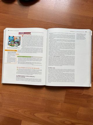 Microeconomía: segunda edición (Spanish Edition)