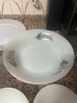 Vajilla Arcopal Margaritas Blancas