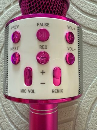 Micrófono Karaoke Portátil Rosa WS-858