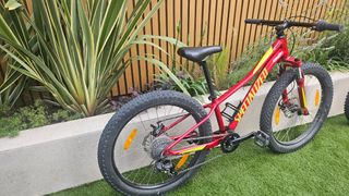 Bicicleta Specialized Rip Rock 24