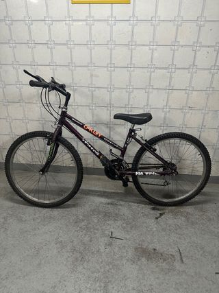Bicicleta de montaña