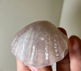 Joyero caparazón cuarzo rosa