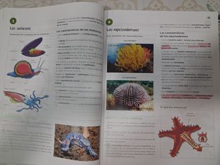 BIOLOGÍA Y GEOLOGÍA OPERACIÓN MUNDO 3o ESO (1,2,3)