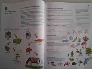 BIOLOGÍA Y GEOLOGÍA OPERACIÓN MUNDO 3o ESO (1,2,3)