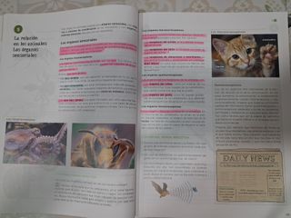 BIOLOGÍA Y GEOLOGÍA OPERACIÓN MUNDO 3o ESO (1,2,3)