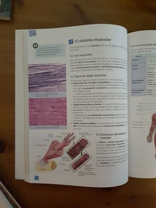 Biología y Geología 3 ESO (2015)