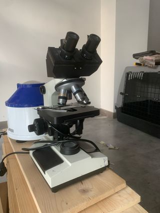 Microscopio óptico 10x-100x