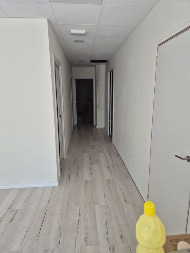 Pintor Profesionales.