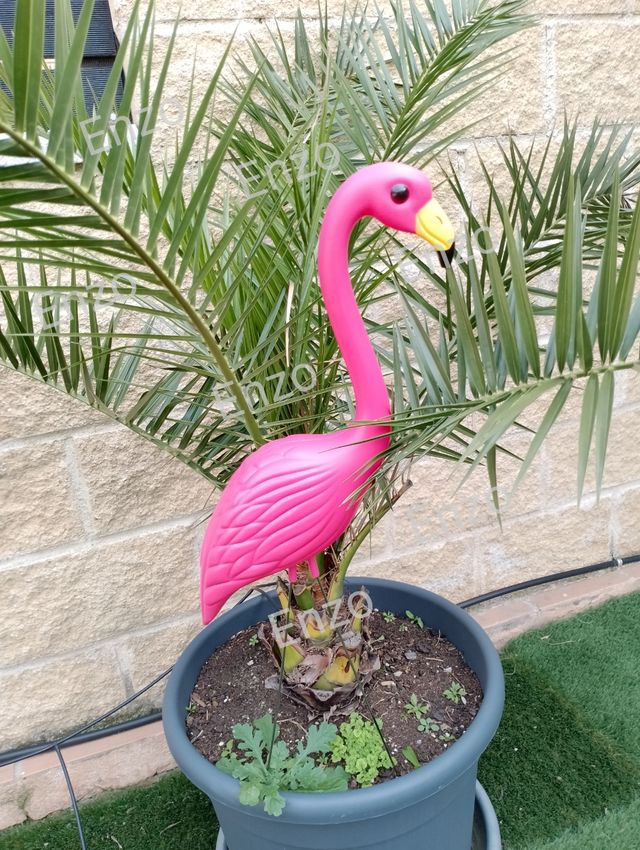 Conjunto 2 Flamencos Jardín