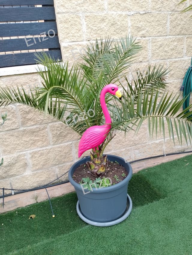 Conjunto 2 Flamencos Jardín