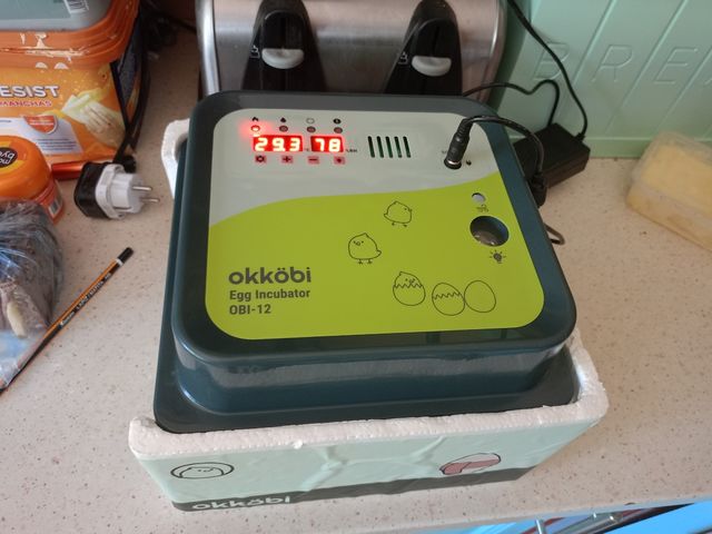 Incubadora para ovos