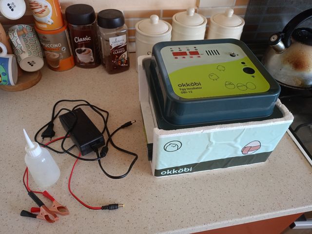 Incubadora para ovos