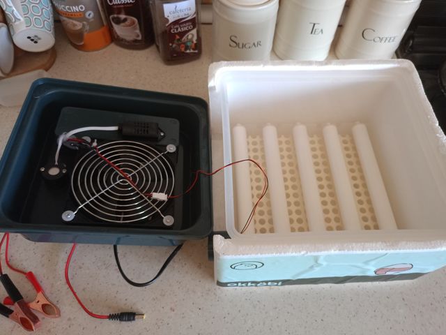 Incubadora para ovos