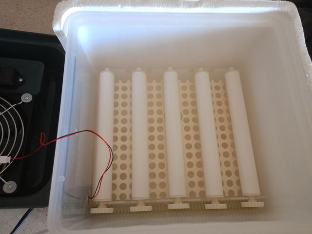 Incubadora para ovos