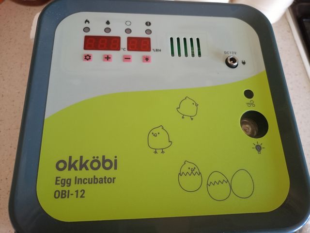 Incubadora para ovos