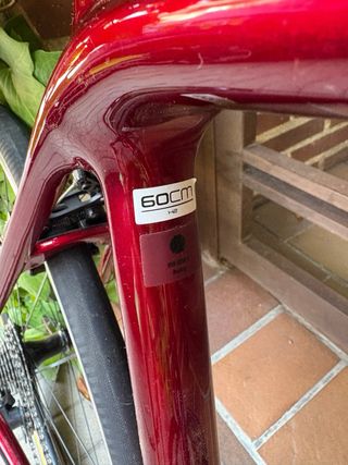 Pack Bicicletas carretera Trek y BMC