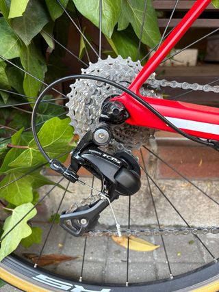 Pack Bicicletas carretera Trek y BMC