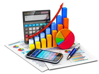 Profesor de Contabilidad y Finanzas