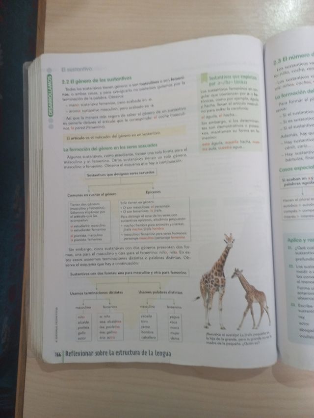 LENGUA CASTELLANA Y LITERATURA 1 BL (COMUNIDAD ...